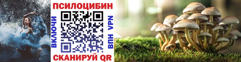Псилоцибиновые грибы Psilocybe  KRAKEN как войти  Окуловка 